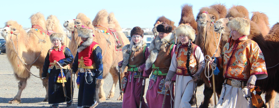 Тэмээний баяр